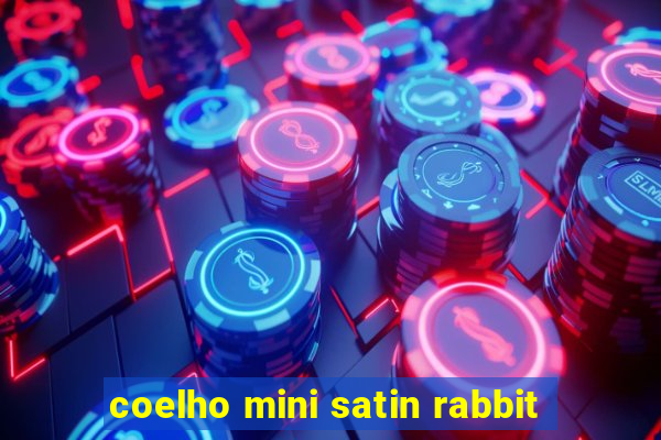 coelho mini satin rabbit